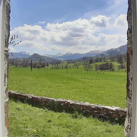 Vallee Du Puy-mary -