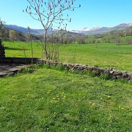 Vallee Du Puy-mary - * Cheylade